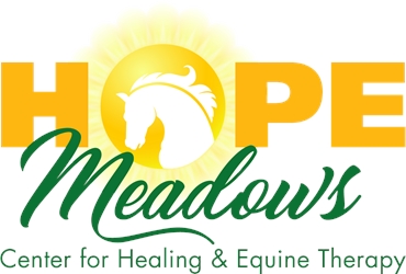 Client Portal Home for Hope Meadows Foundation