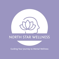 Client Portal Home for North Star Wellness