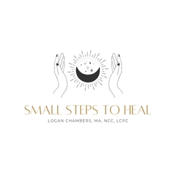 Client Portal Home for Small Steps to Heal PLLC